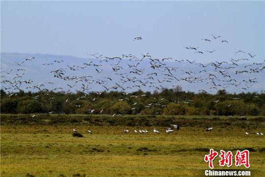 资料图 袁玉龙 摄