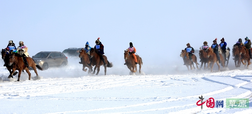 沸腾的雪原：极寒天气下激情无限的赛马大赛