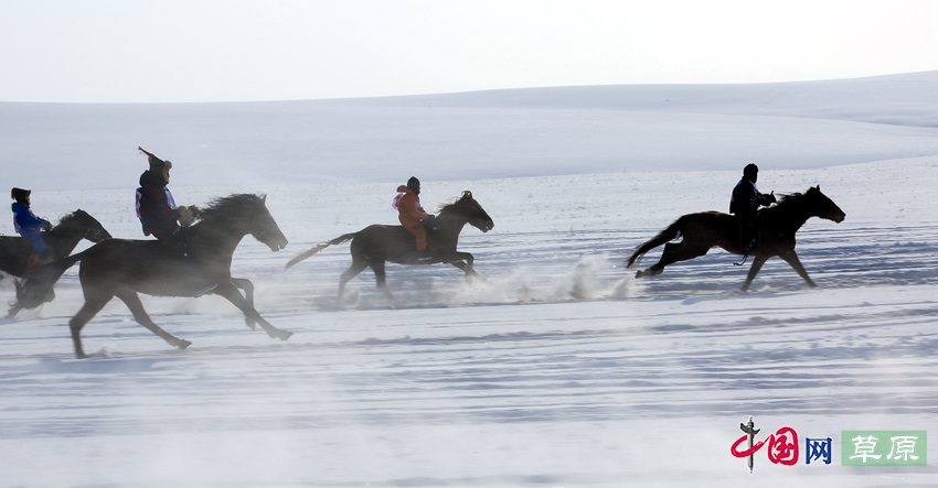 沸騰的雪原：極寒天氣下激情無限的賽馬大賽