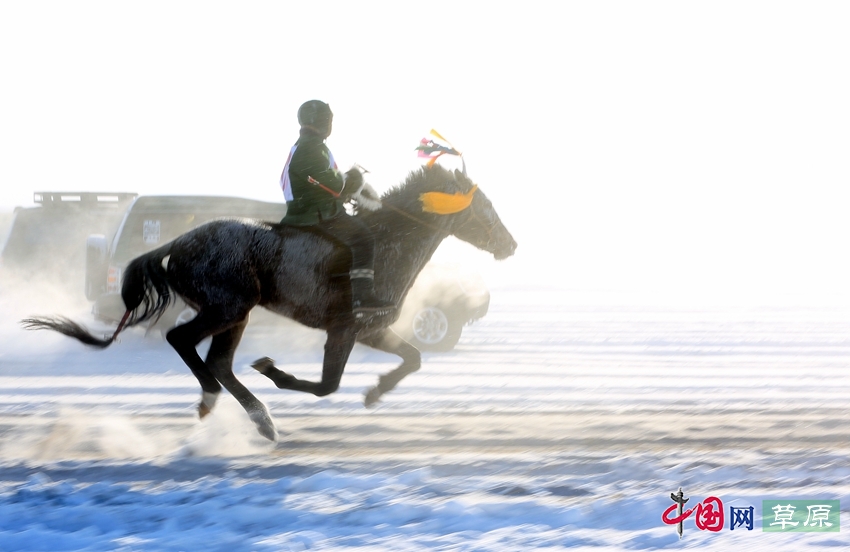沸騰的雪原：極寒天氣下激情無限的賽馬大賽