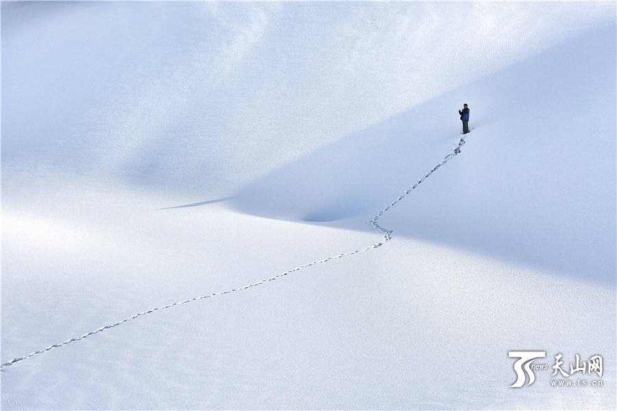 冬日新疆塔克拉玛干沙漠如一幅写意水墨画