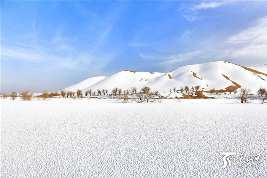 冬日新疆塔克拉玛干沙漠如一幅写意水墨画