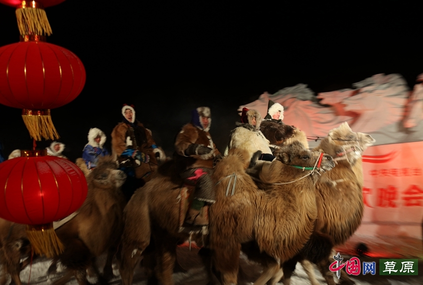 原生態冰雪和濃郁民族風情 掀起呼倫貝爾冬季旅遊熱潮（原創）