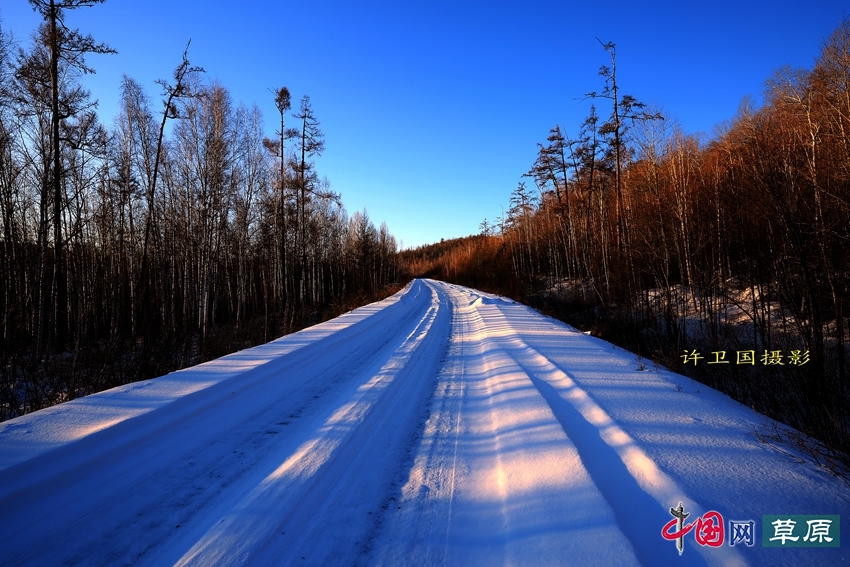 越冷越向北 冬遊體驗呼倫貝爾林區冰雪文化(原創組圖)