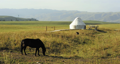 洁白的毡房与悠闲吃草的马儿，构成了那拉提草原哈萨克人的特有风情。