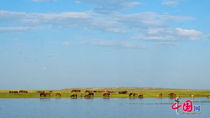 全国政协赴内蒙古调研&apos;自然保护区建设与管理&apos;:护好北疆生态屏障（中国网记者 王金梅）