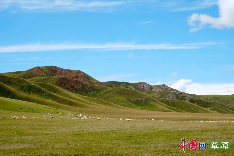 郑锦春:用法律武器 坚强守护祖国北疆的绿色万
