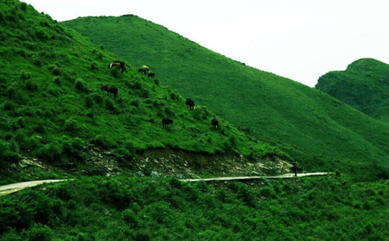 于都屏山
