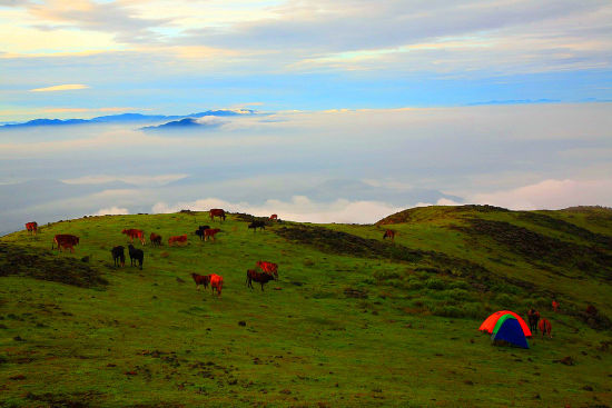 万时山