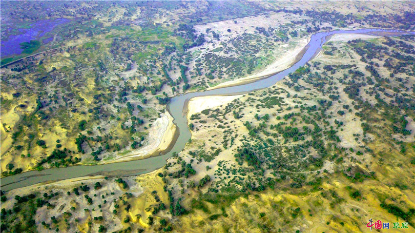 新疆塔里木河进入丰水期 在大地上挥洒出