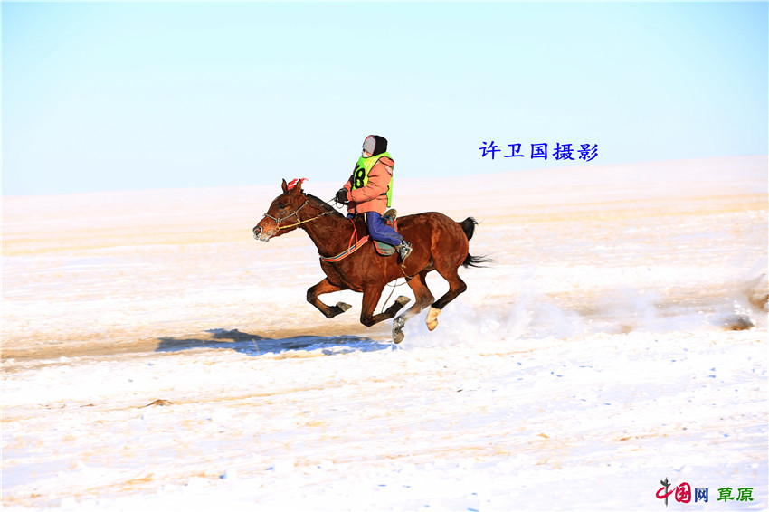 冬日雪原策马奔驰 体味草原上人与马的豪迈(组图)