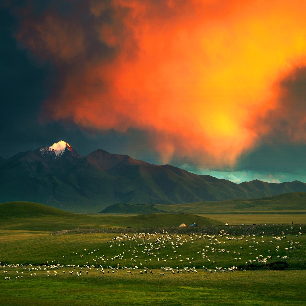 火红的晚霞映照汗腾格裏峰,洁白的羊群像一颗颗珍珠洒落在天山草原上