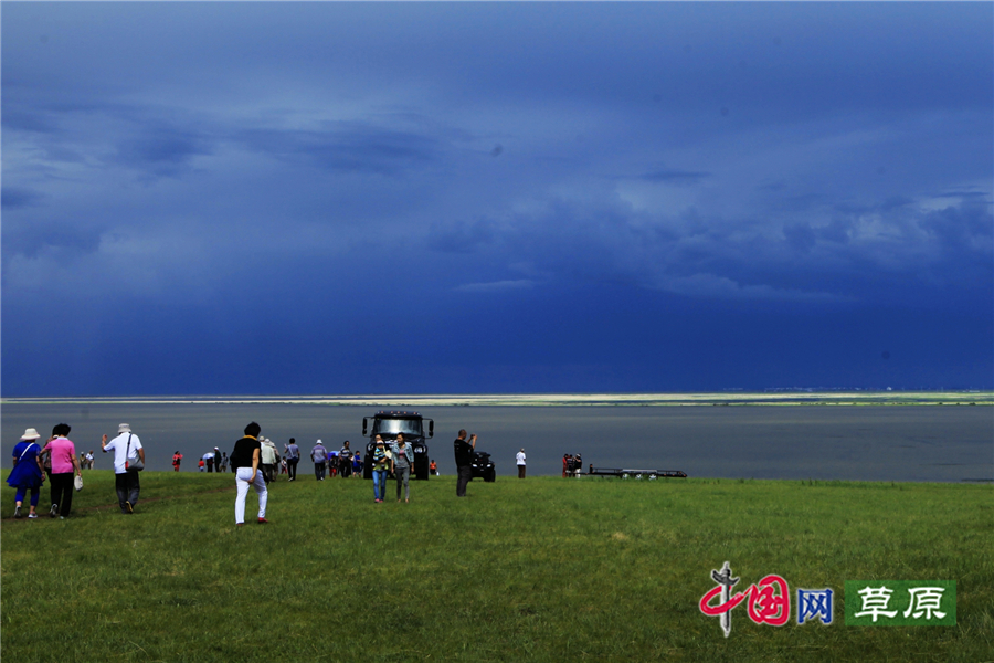 【原創】中國最美的夏天：呼倫貝爾草原國家公園（中國網草原頻道）