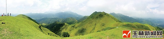 北流沙垌大云岭：草原风光，美如画卷