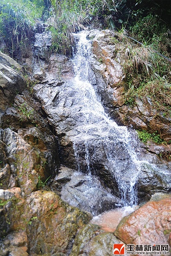 北流沙垌大云岭：草原风光，美如画卷