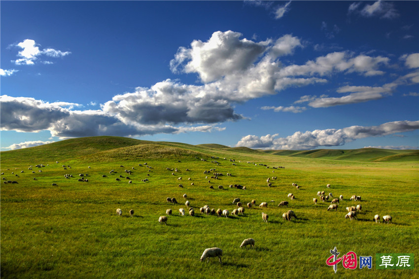 锡林郭勒草原的四季奇景（摄影：郑思林）