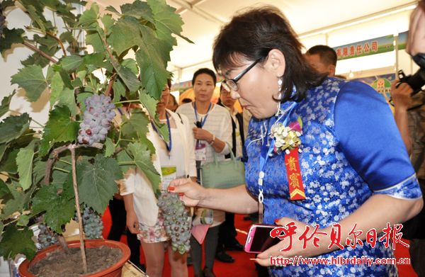 内蒙古第八届绿交会现场签约44.2亿元