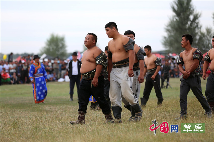 科尔沁奈日文化节：千余搏克选手激情竞技 草原牧民欢聚那达慕（记者 王金梅）