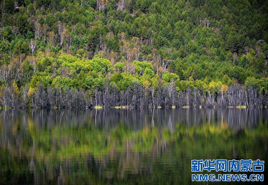 （美丽中国）（6）金秋如画阿尔山