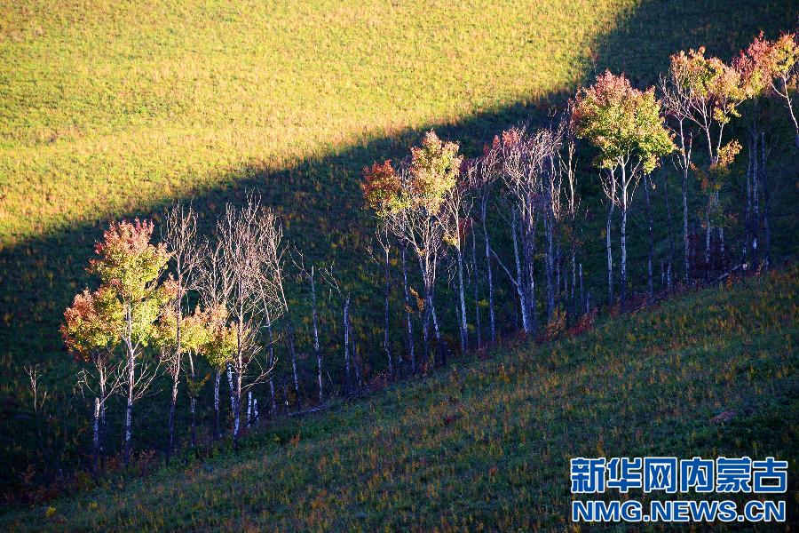 #（美丽中国）（4）秋染额尔古纳