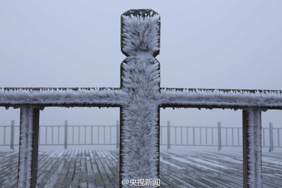 雾凇美景“扮靓”山西中条山