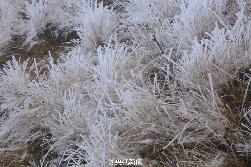 雾凇美景“扮靓”山西中条山