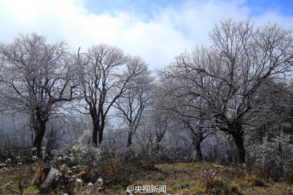 雾凇美景“扮靓”山西中条山