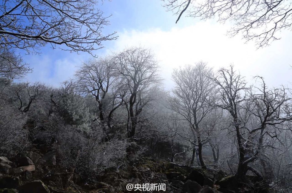 雾凇美景“扮靓”山西中条山