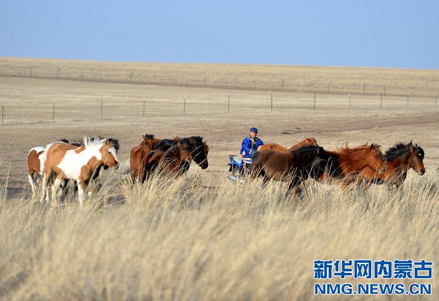 （走基层·听民声）（1）草原深处牧民的“现代化生活”
