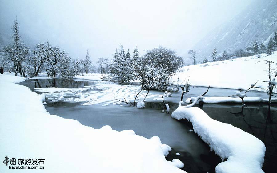 四川阿坝州美丽的雪景 黄灿灿的草原景色