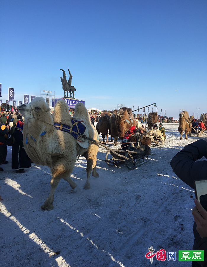  23日上午，“2015·中国冰雪那达慕暨巴尔虎草原祭火文化节”在呼伦贝尔市盛装开幕。摄影/许允兵