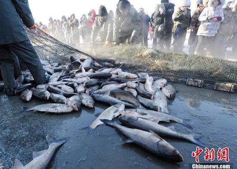 吉林冬捕头鱼拍下78万天价 揭秘最原始的蒙古族捕鱼方式
