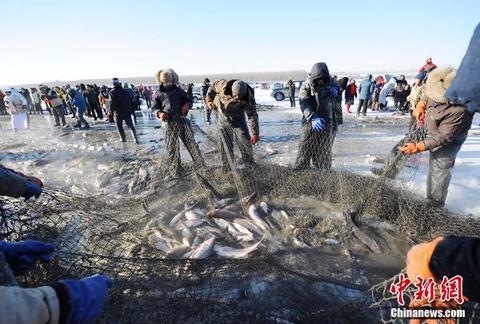 吉林冬捕头鱼拍下78万天价 揭秘最原始的蒙古族捕鱼方式