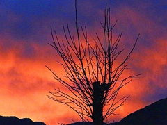 巴州库鲁克塔格山冬日傍晚出现火烧云景观