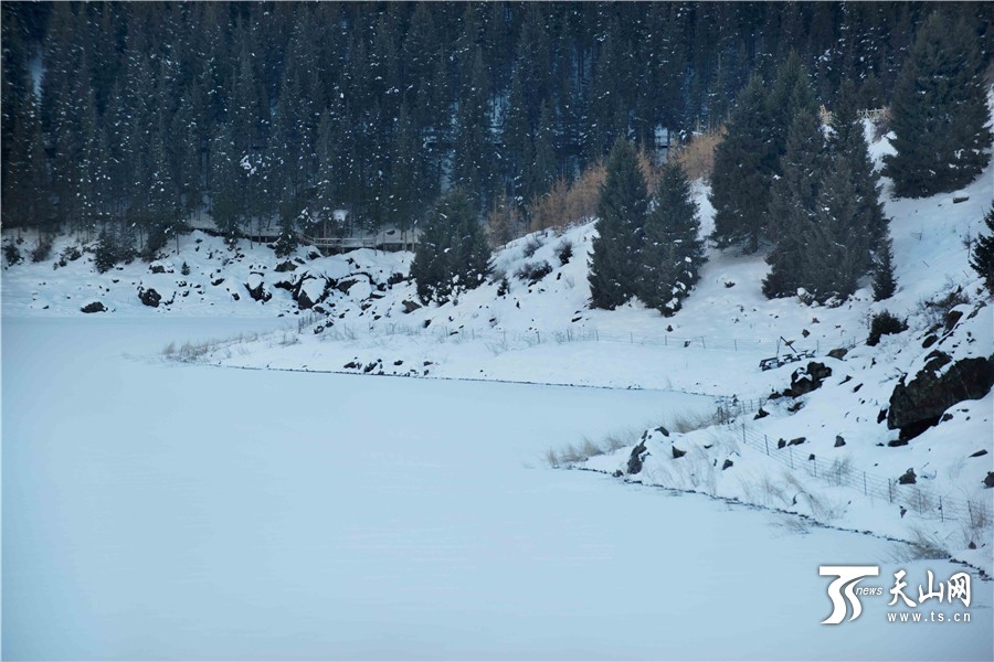 雪下新疆天山天池風景美如畫