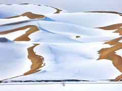 冬日新疆塔克拉瑪幹沙漠如一幅寫意水墨畫