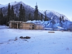 新疆昭蘇縣冬窩子遠方而溫暖的家