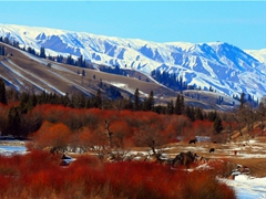 新疆那拉提暖冬印象