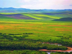 盤點中國最美草原：色彩繽紛似絢爛油畫