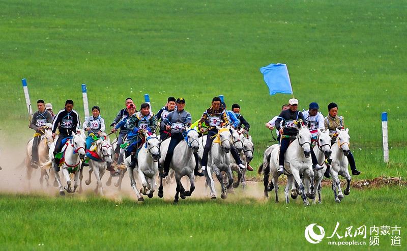 6月28日，蒙古族骑手正进行12.5公里远程赛马。