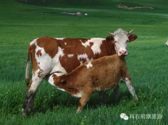 点击图片进入第一页