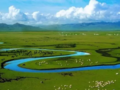 走进世界最大最美湿地草原——甘南玛曲